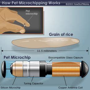 pet rfid chip implant|Pet Microchips – How They Work .